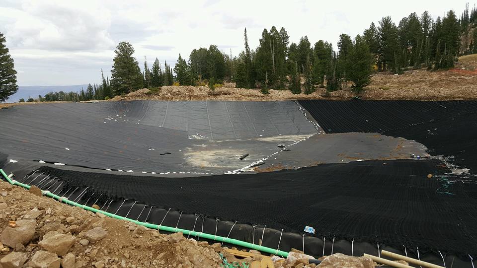 liner for lake surrounded by trees