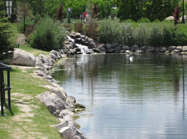 pond with rocks lining the edge and shrubs surrounding