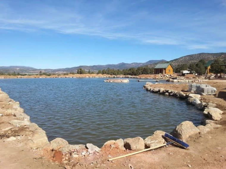 A pond with rocks surrounding