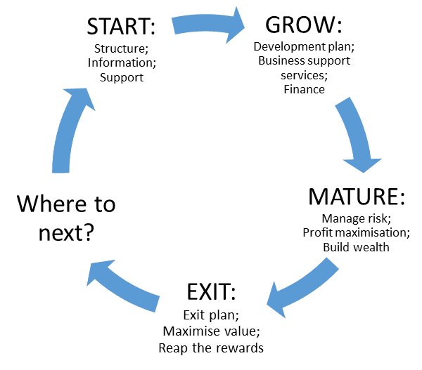 Business lifecycle