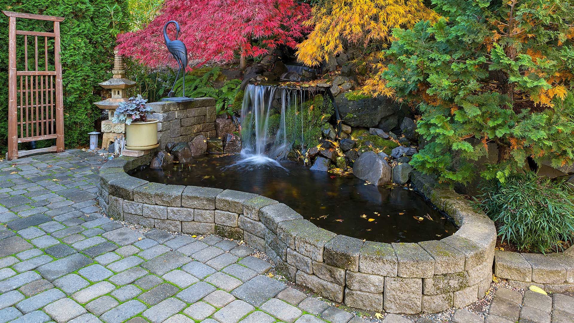 A pond with a waterfall in the middle of it