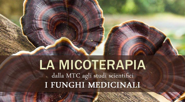 micoterapia