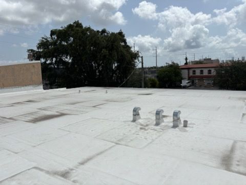 A white roof with trees in the background and a building in the background
