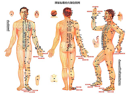 A diagram of a man 's body with points on it
