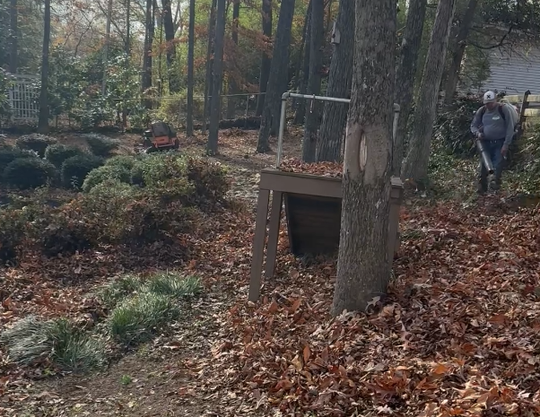 Rake & Leaves Rake & Leaves