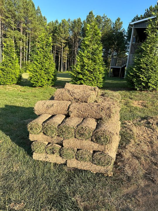 A pile of hay is sitting on top of a lush green field.