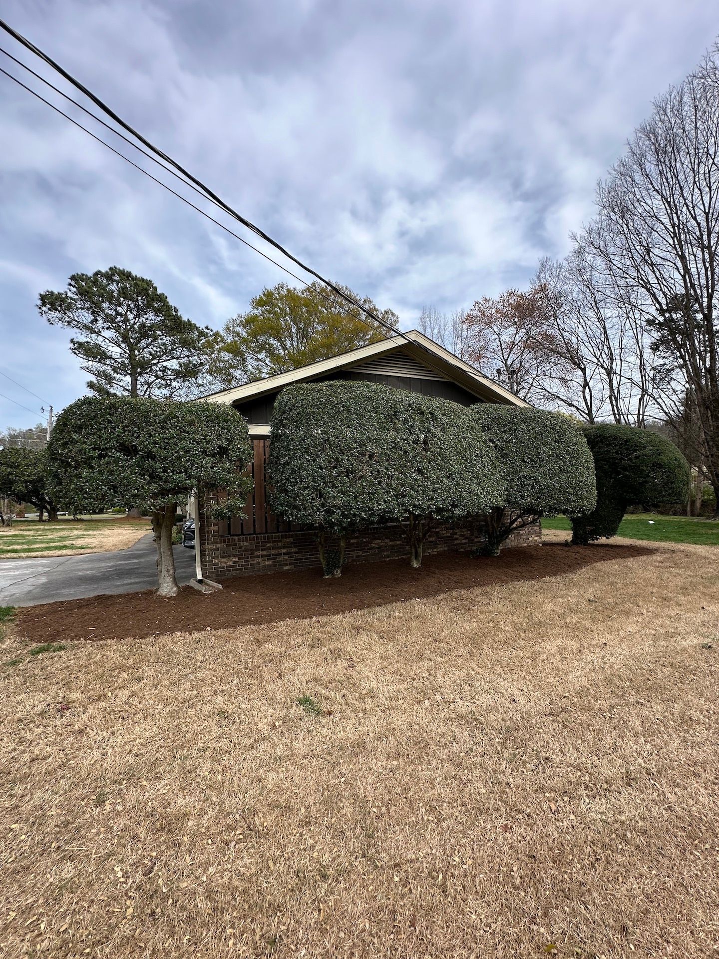 tree trimming service and mulch installation