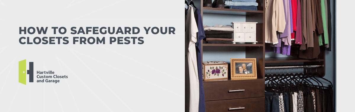 How to Safeguard Your Closets From Pests
