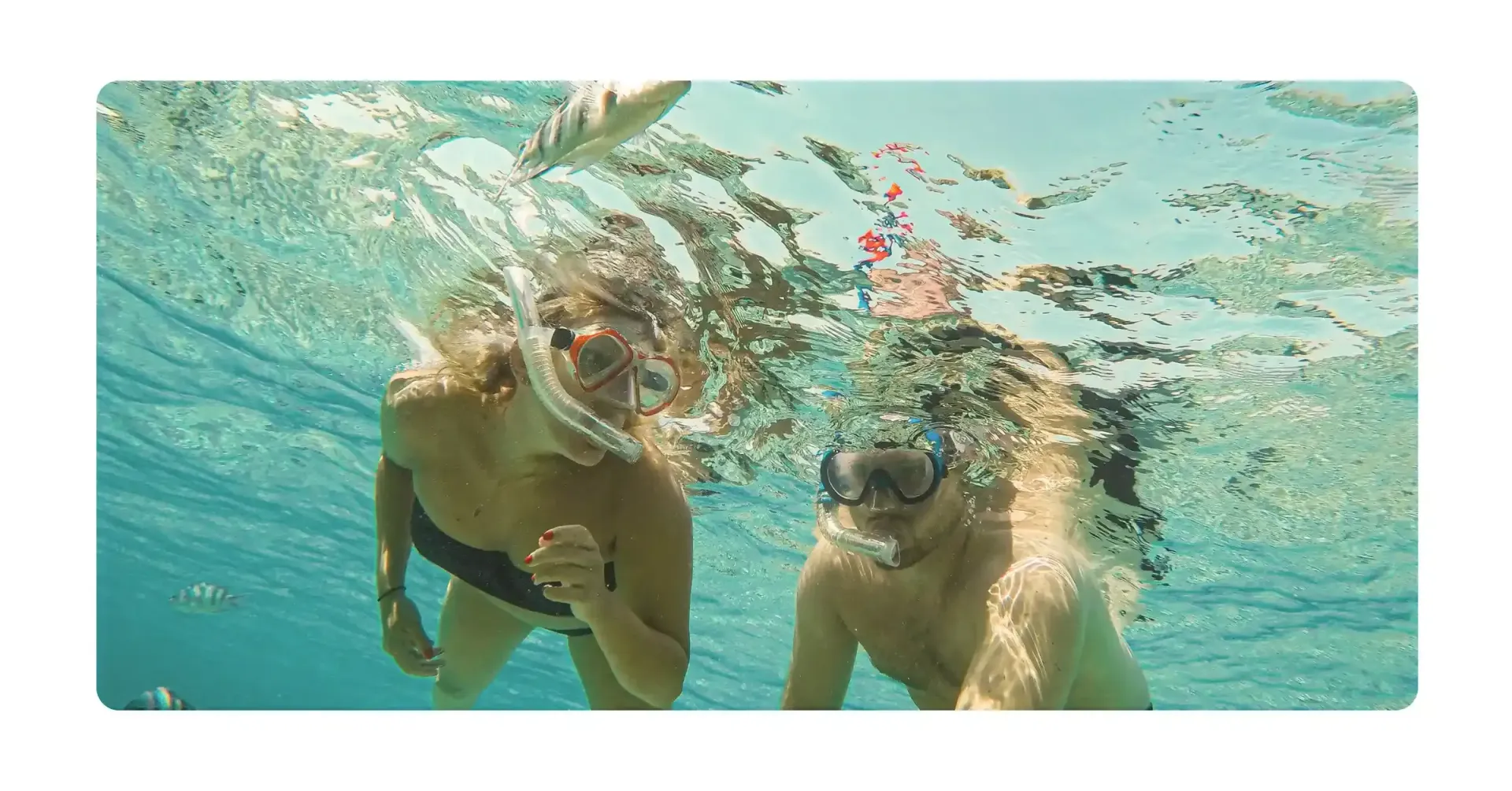 Snorkeling in Curacao — The Ultimate Guide to the Island’s Best Underwater Experiences