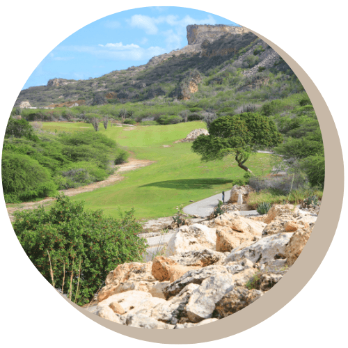 Green course with rocky terrain, vegetation, and cliffside in background.
