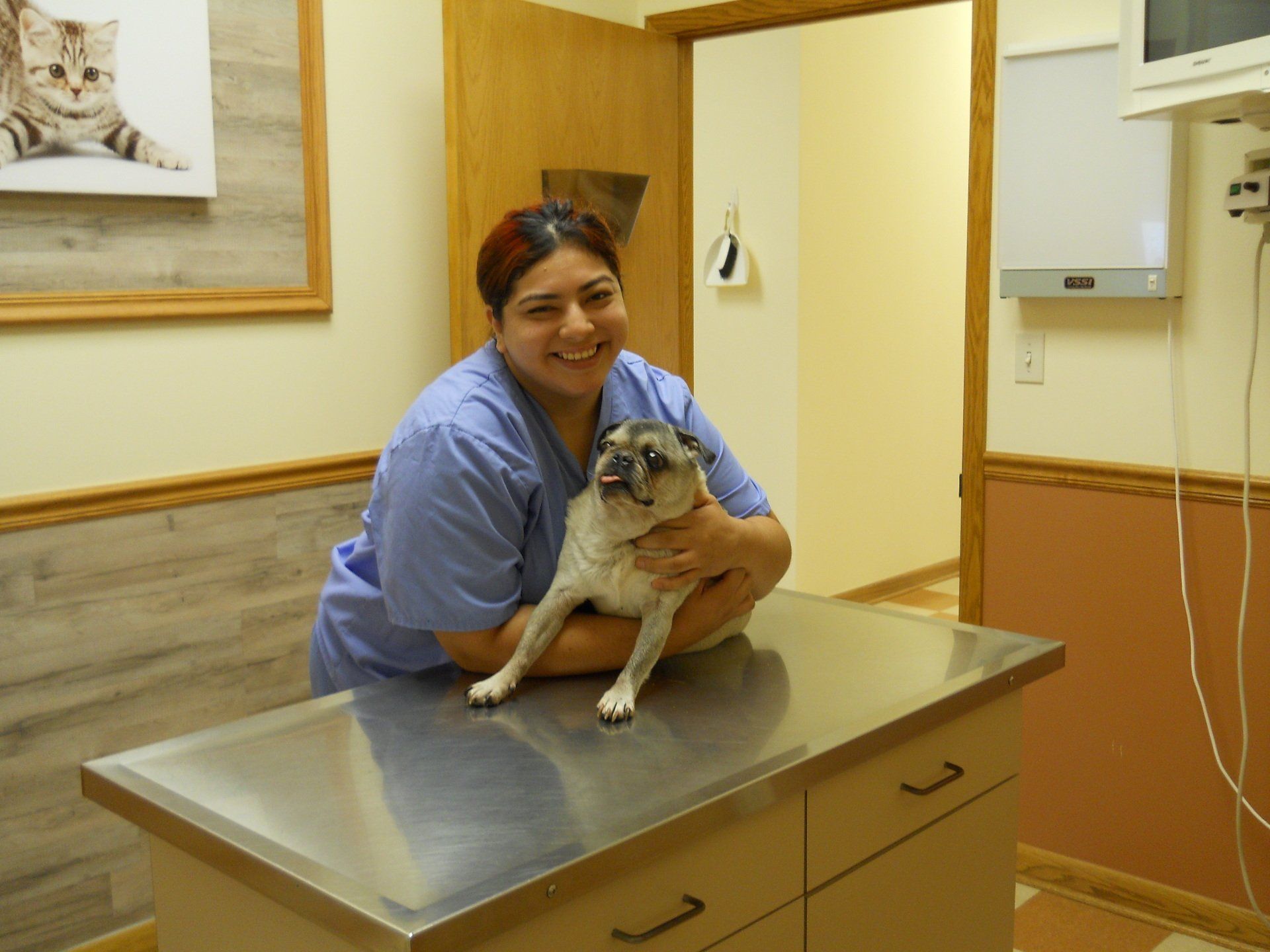 Veterinary Hospital Gurnee, IL Grand Animal Hospital