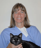 Veterinary Hospital — Grand Animal Hospital Staffs in Gurnee, IL