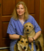 Veterinary Hospital — Grand Animal Hospital Staffs in Gurnee, IL