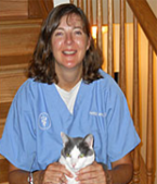 Veterinary Hospital — Grand Animal Hospital Staffs in Gurnee, IL