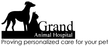 Grand Animal Hospital