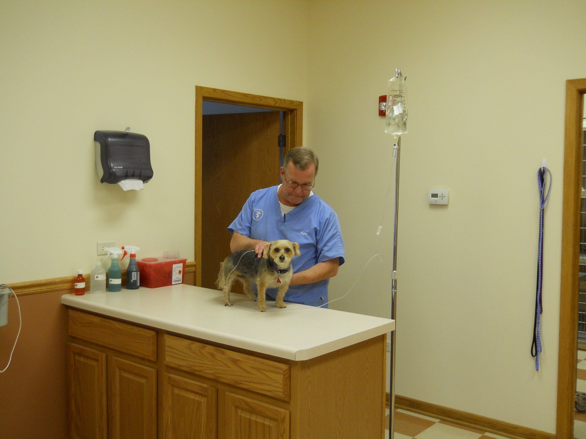 Veterinary Hospital Gurnee, IL Grand Animal Hospital