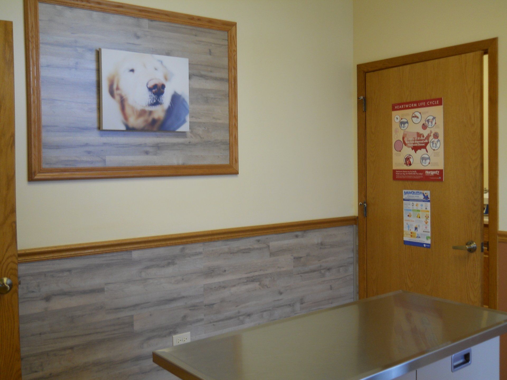Veterinary Hospital Gurnee, IL Grand Animal Hospital