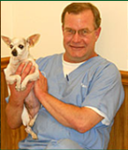 Veterinary Hospital — Grand Animal Hospital Staffs in Gurnee, IL