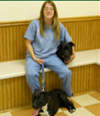 Veterinary Hospital — Grand Animal Hospital Staffs in Gurnee, IL