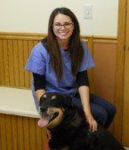 Veterinary Hospital — Grand Animal Hospital Staffs in Gurnee, IL