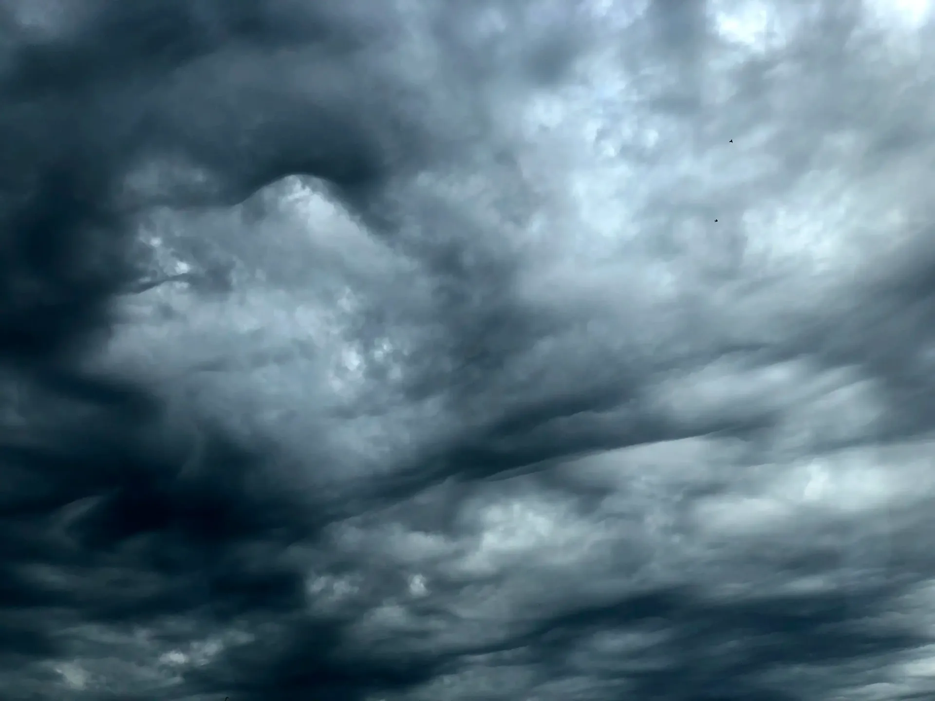 a dark cloudy sky with a bird flying in the distance .