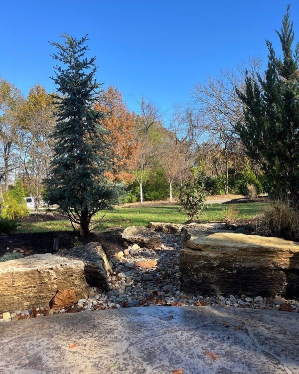 A park with trees and rocks on a sunny day