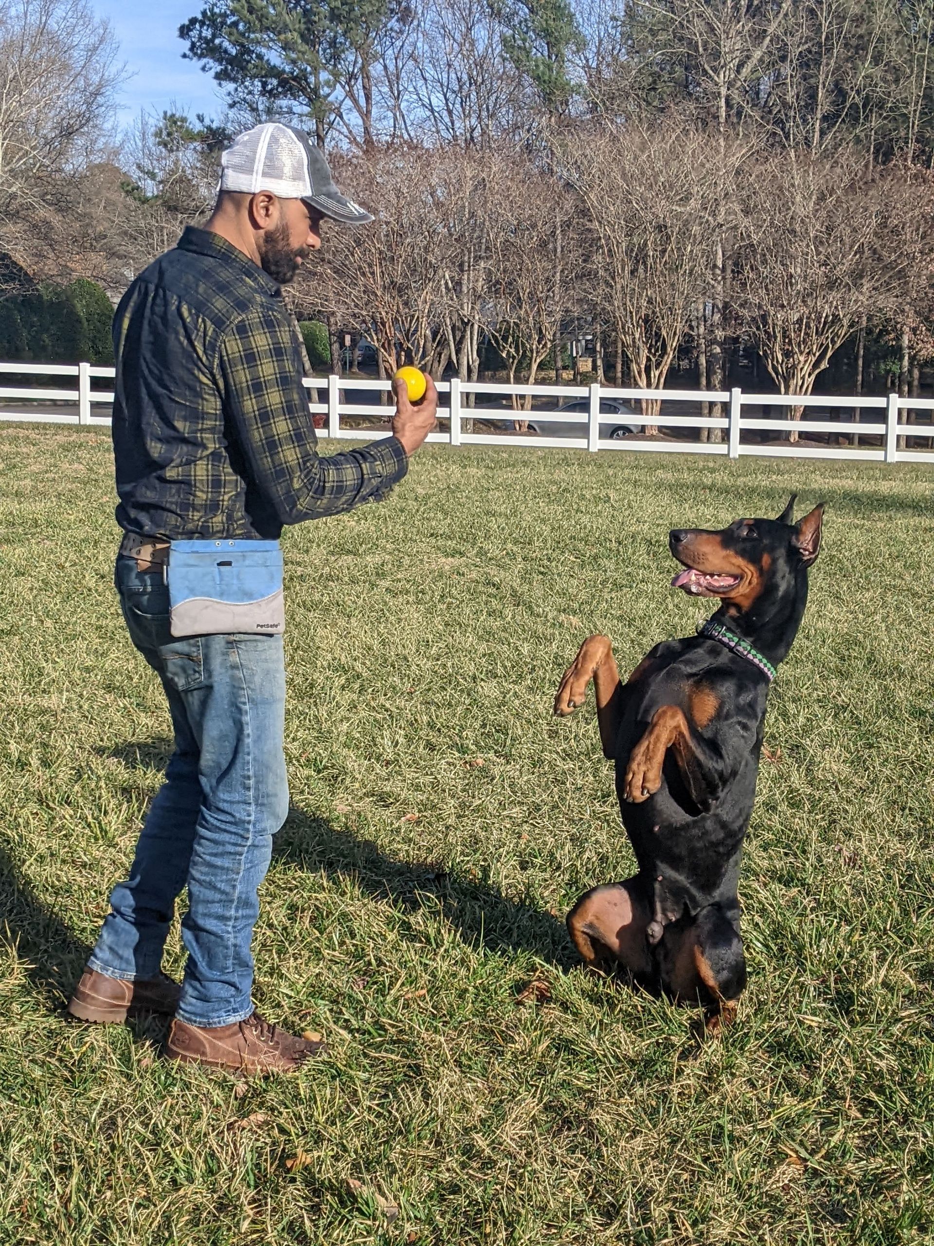 A man and a woman are standing next to two dogs on a sidewalk.