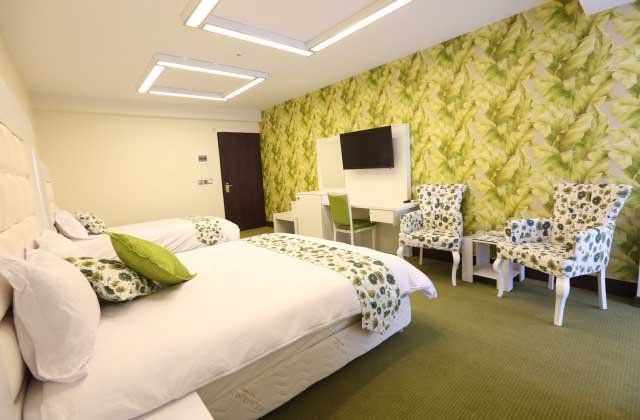 Tehran Balut Hotel,Tehran hotels, iran hotels ,3 star hotel in tehran