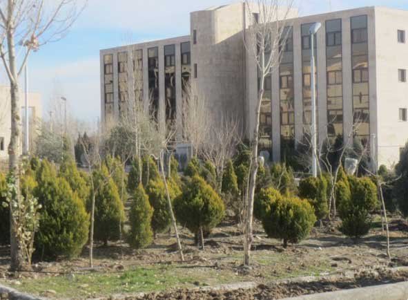 Tehran Danesh Hotel ,Tehran hotels, iran hotels  ,2 star hotel in tehran