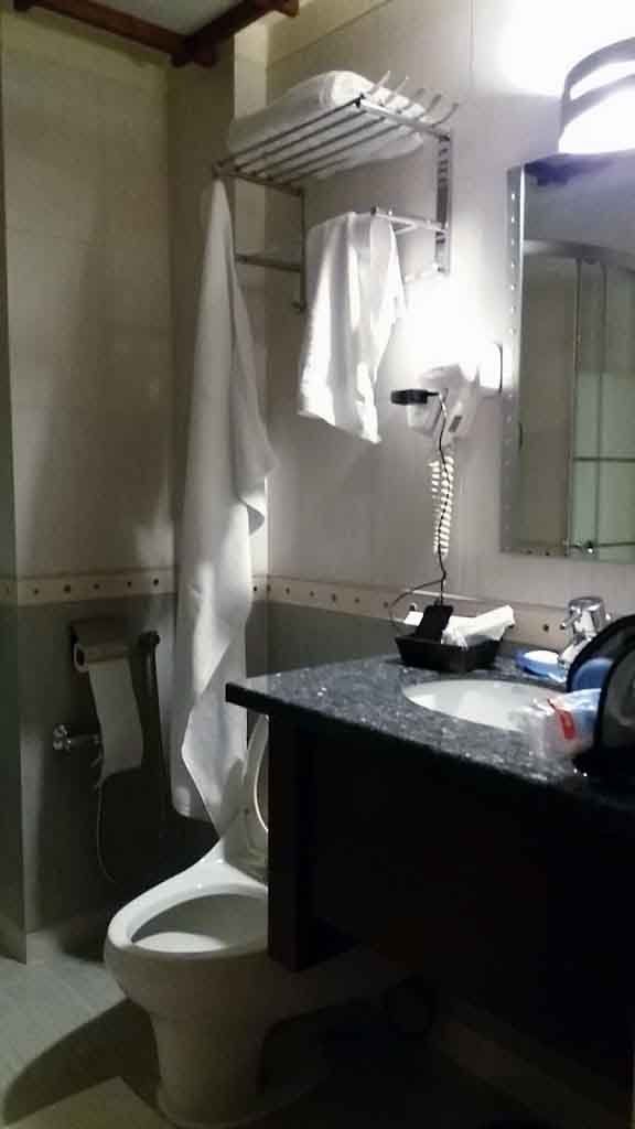 Tehran Eskan Forsat Hotel ,Tehran hotels, iran hotels , 3 star hotels in tehran