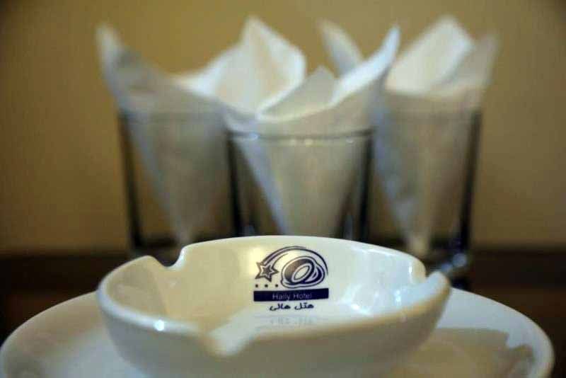 Tehran Hally Hotel ,Tehran hotels, iran hotels ,3 star hotels in tehran