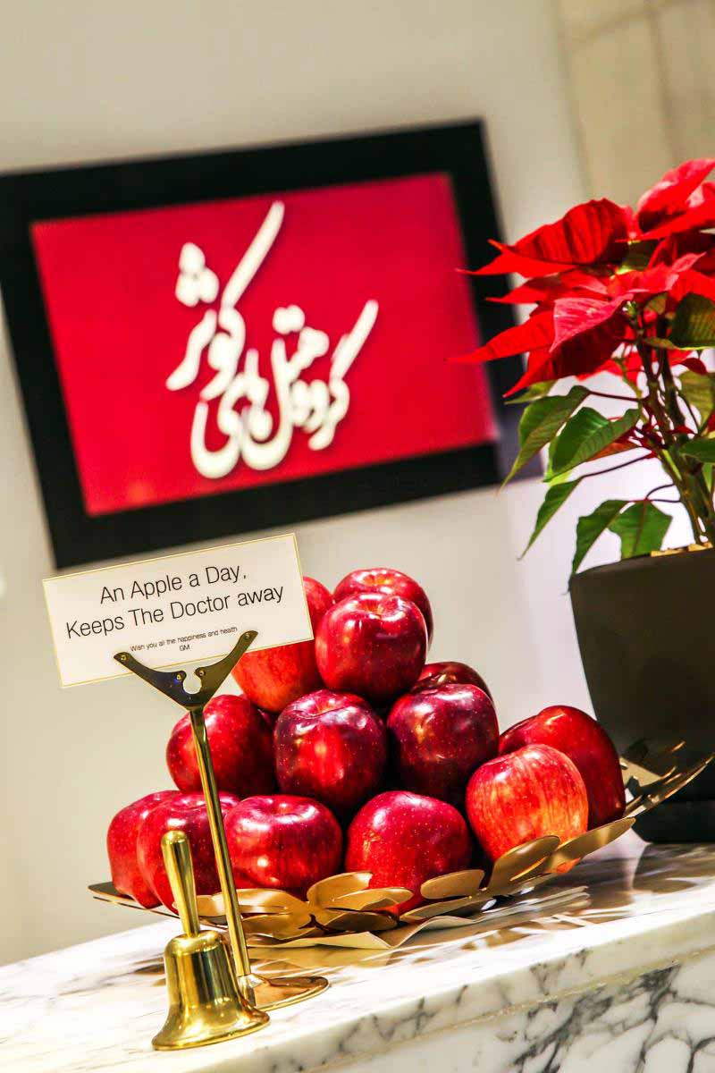 Tehran Howeyzeh Hotel ,Tehran hotels, iran hotels  ,4 star hotel in tehran