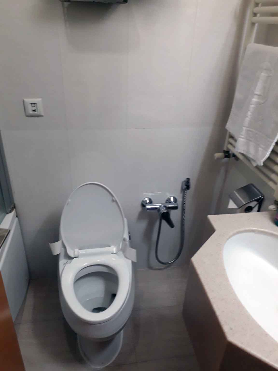 Tehran Saina Hotel ,Tehran hotels, iran hotels , 3 star hotels in tehran