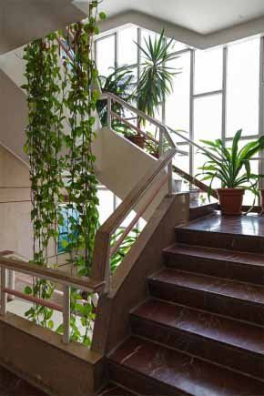 Tehran Shiraz Hotel ,Tehran hotels, iran hotels  ,2 star hotel in tehran