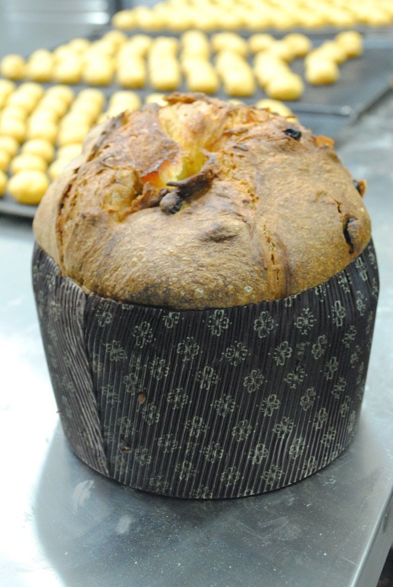 corso lainox pasticceria