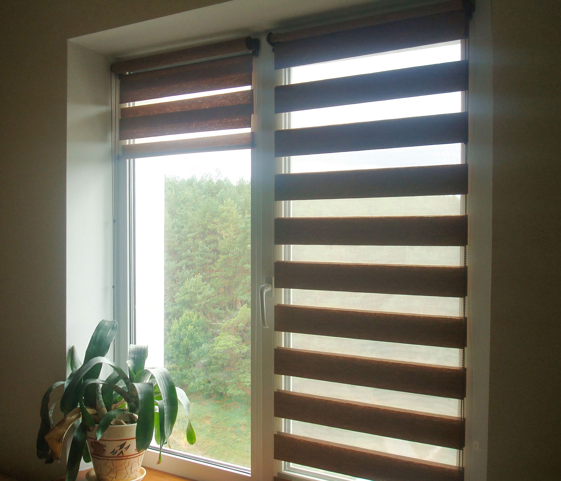 Window with brown and tan zebra blinds, partially open. A potted plant sits on the sill. Exterior view.