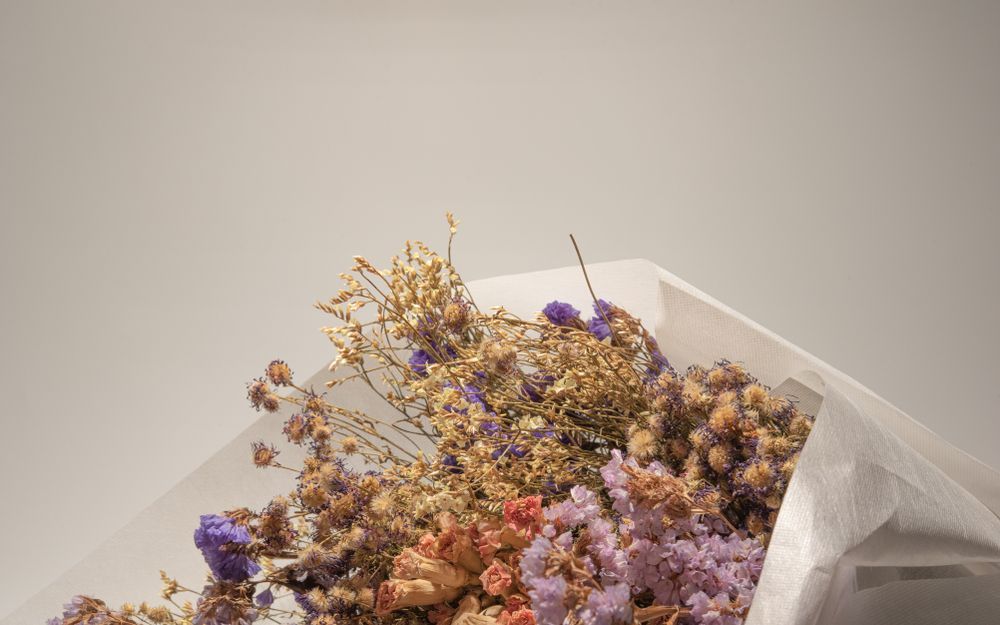Bouquet of Dried Flowers in White Paper Wrap; Muted Colors — Ivy Lane Flowers and Gifts in Mooloolaba