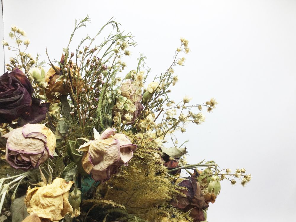 A Bouquet of White Roses with Green Leaves on A Table — Ivy Lane Flowers and Gifts in Nambour