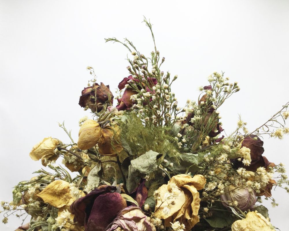 Dried Bouquet of Yellow and Burgundy Roses — Ivy Lane Flowers and Gifts in Maroochydore