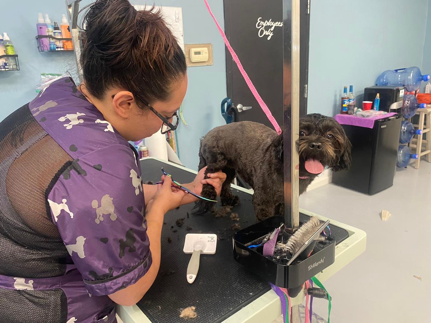Two women are grooming two dogs in a room.