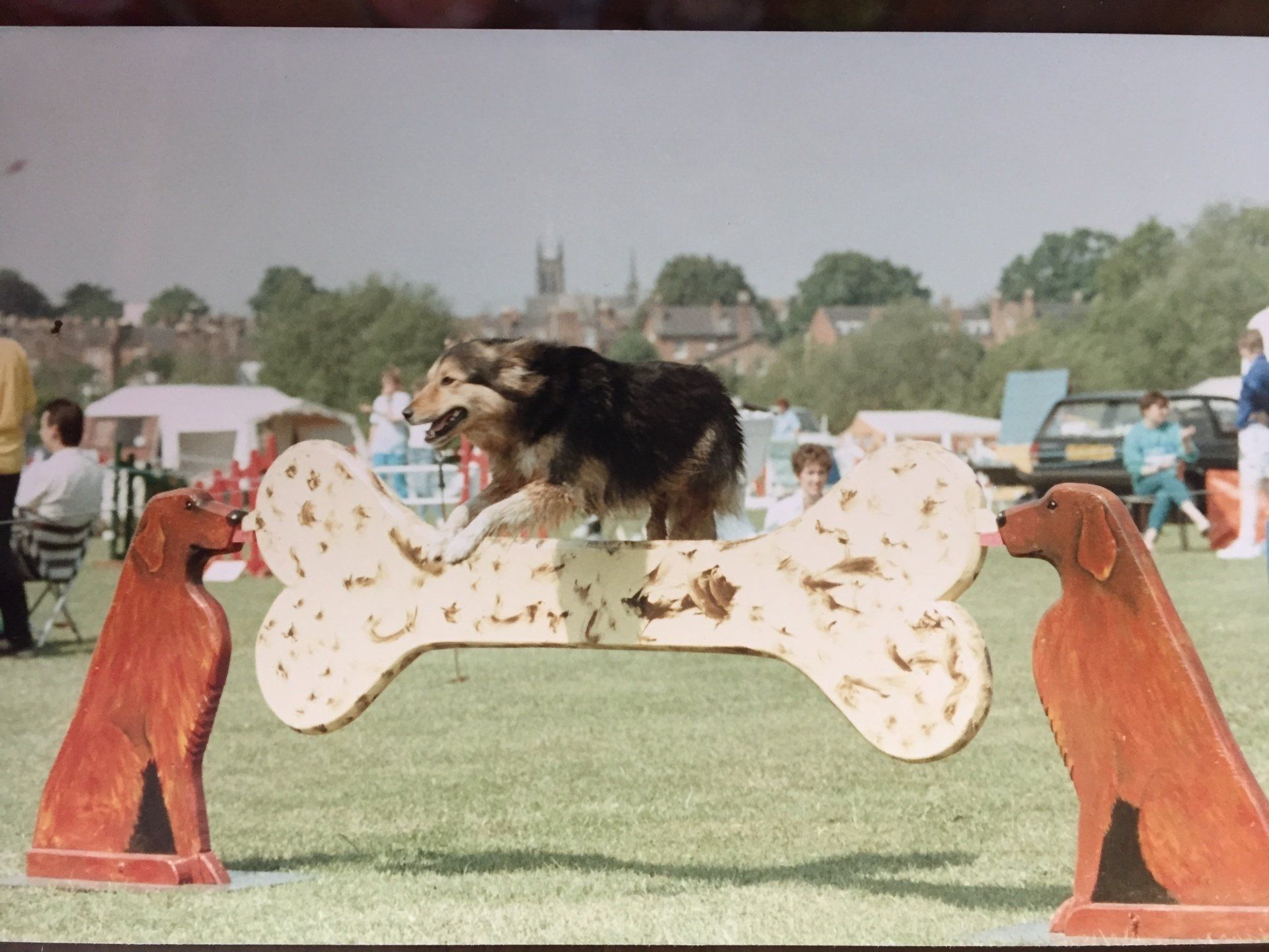 A dog jumping the bone jump made by Premier Show Jumps at Leamington's agility show in 1980s