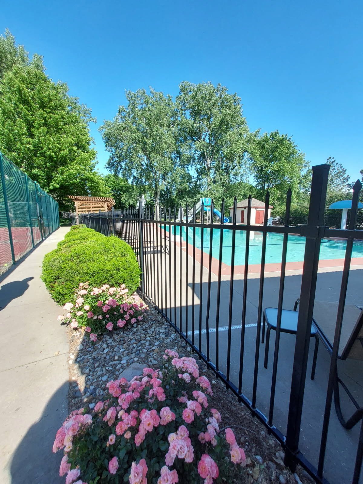 A fence surrounds a swimming pool with pink flowers in front of it