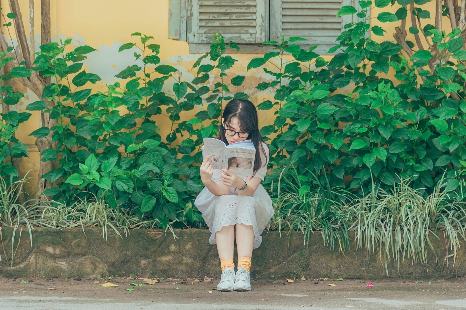 Girl with glasses reading a book, sitting in front of lush green plants by a yellow wall.