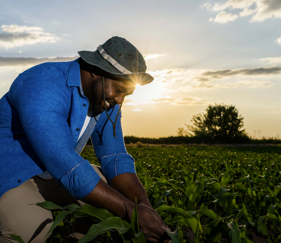 Woman with arms crossed, wearing blue polka dot shirt, standing outside a building, looking directly at the camera.