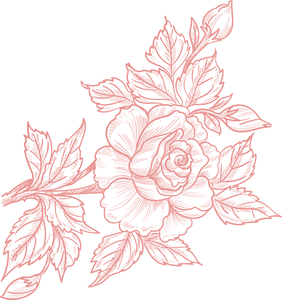 A drawing of a pink rose with leaves on a white background