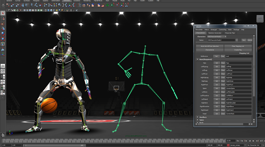 3D Animation and Rigging