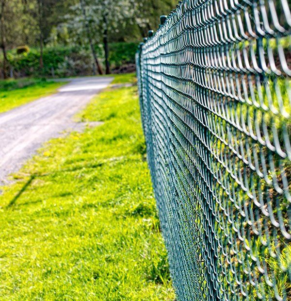 Wire Mesh Fence — Chainwire Fencing in Temagog, NSW