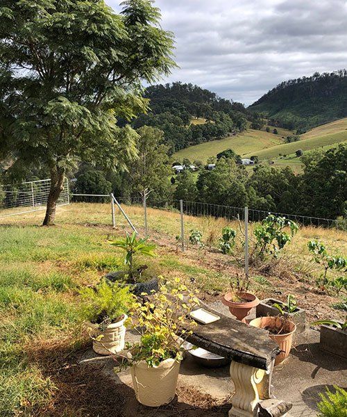 Hinge Joint Fence — Fencer in Temagog, NSW