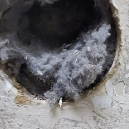 A person is pressing a button that says co2 on it