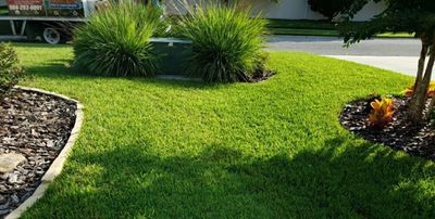 Lawn Pest Control — Yard of the Month in Jacksonville, FL